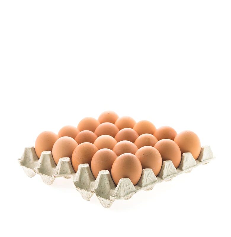 Eggs