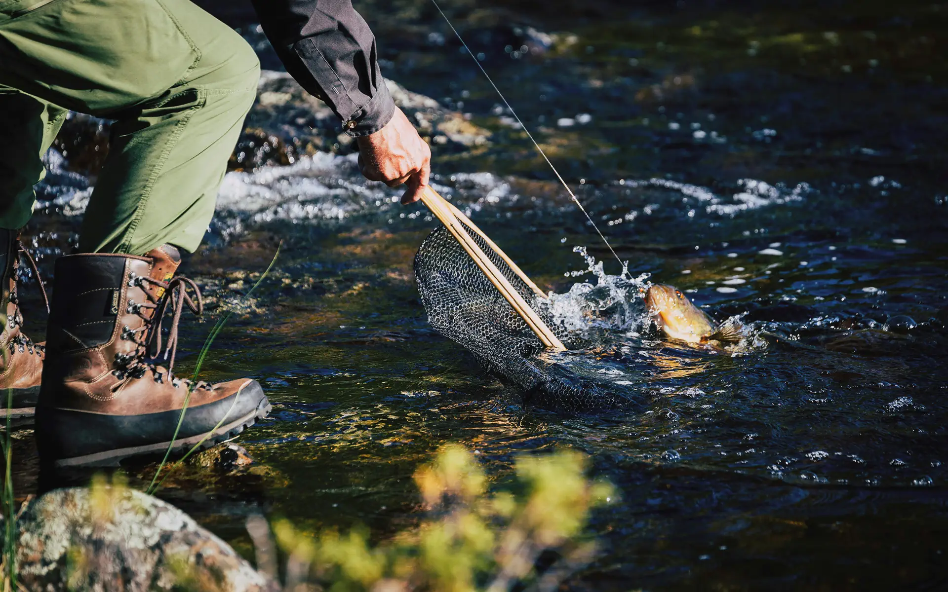 fisher2-section-bg5